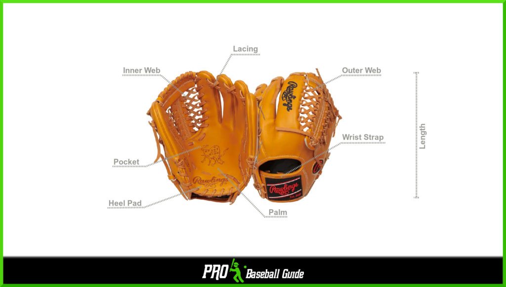 Parts of a youth baseball glove