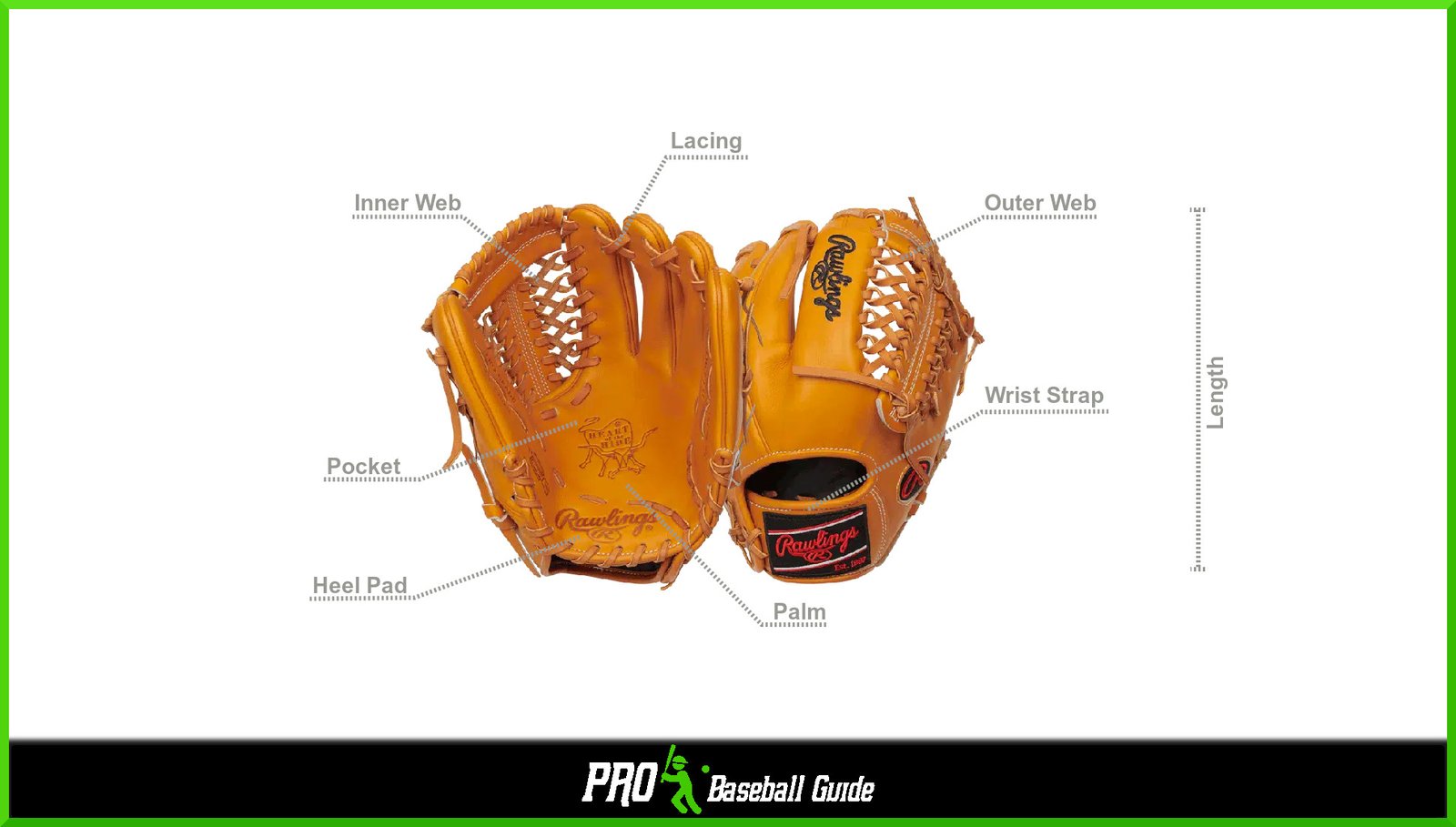 Best Baseball Glove For 8 Year Olds (Buyers Guide)
