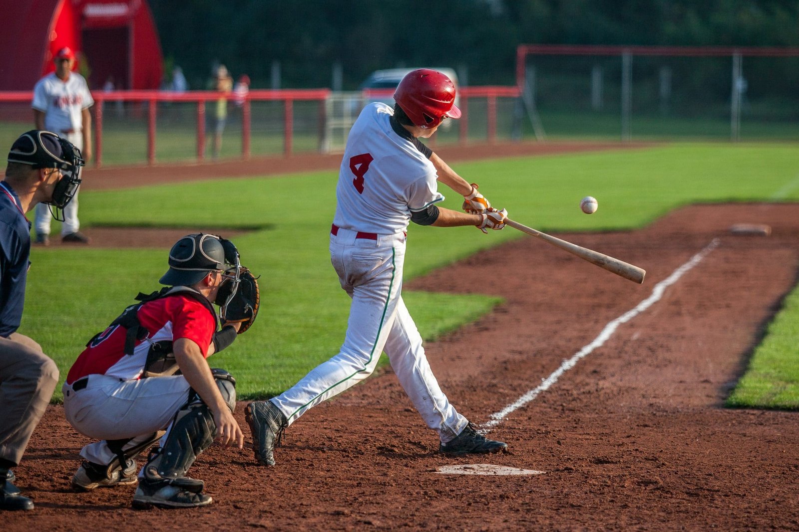 Wooden birch Bat