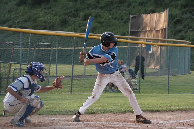 Cat 9 Baseball Bat