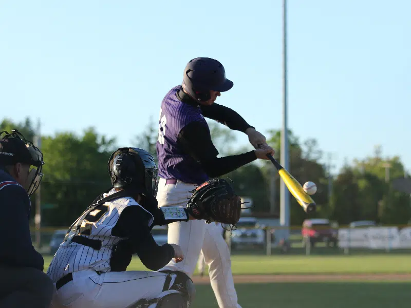 Cat 9 Baseball Bat