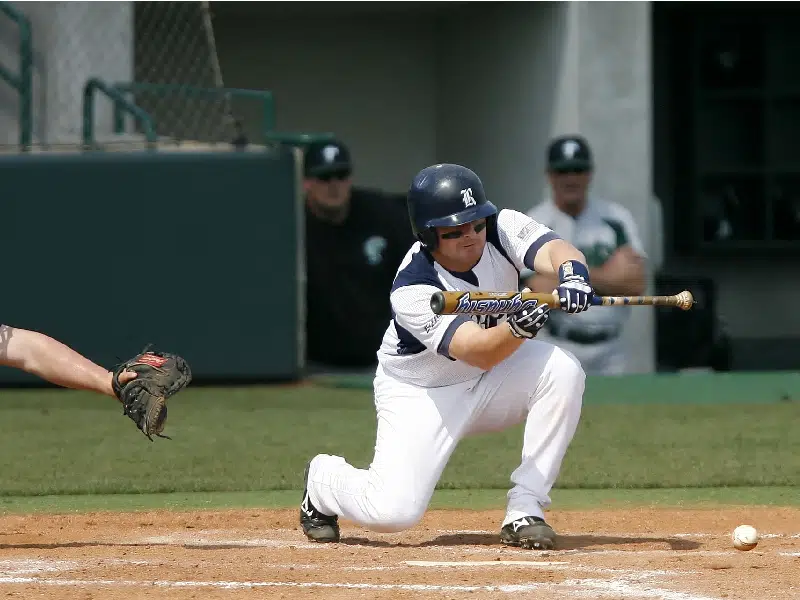 Franklin Batting Gloves