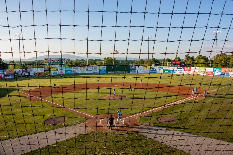 portable baseball backstop