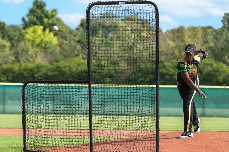 l screen baseball