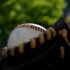 Cat 9 Baseball Bat Reviewed: The Ultimate budget-friendly BBCOR Bat