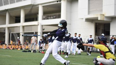 Top 8 Best High School Baseball Bats