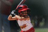Top 10 Best Baseball Bats For Youth