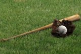 How to Clean a Wood Baseball Bat? Complete Guide